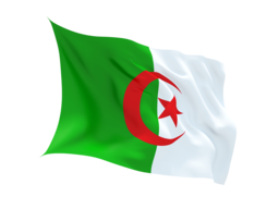Algeria Virtual Number ,unlimited minutes to VOIP ,Asterisk